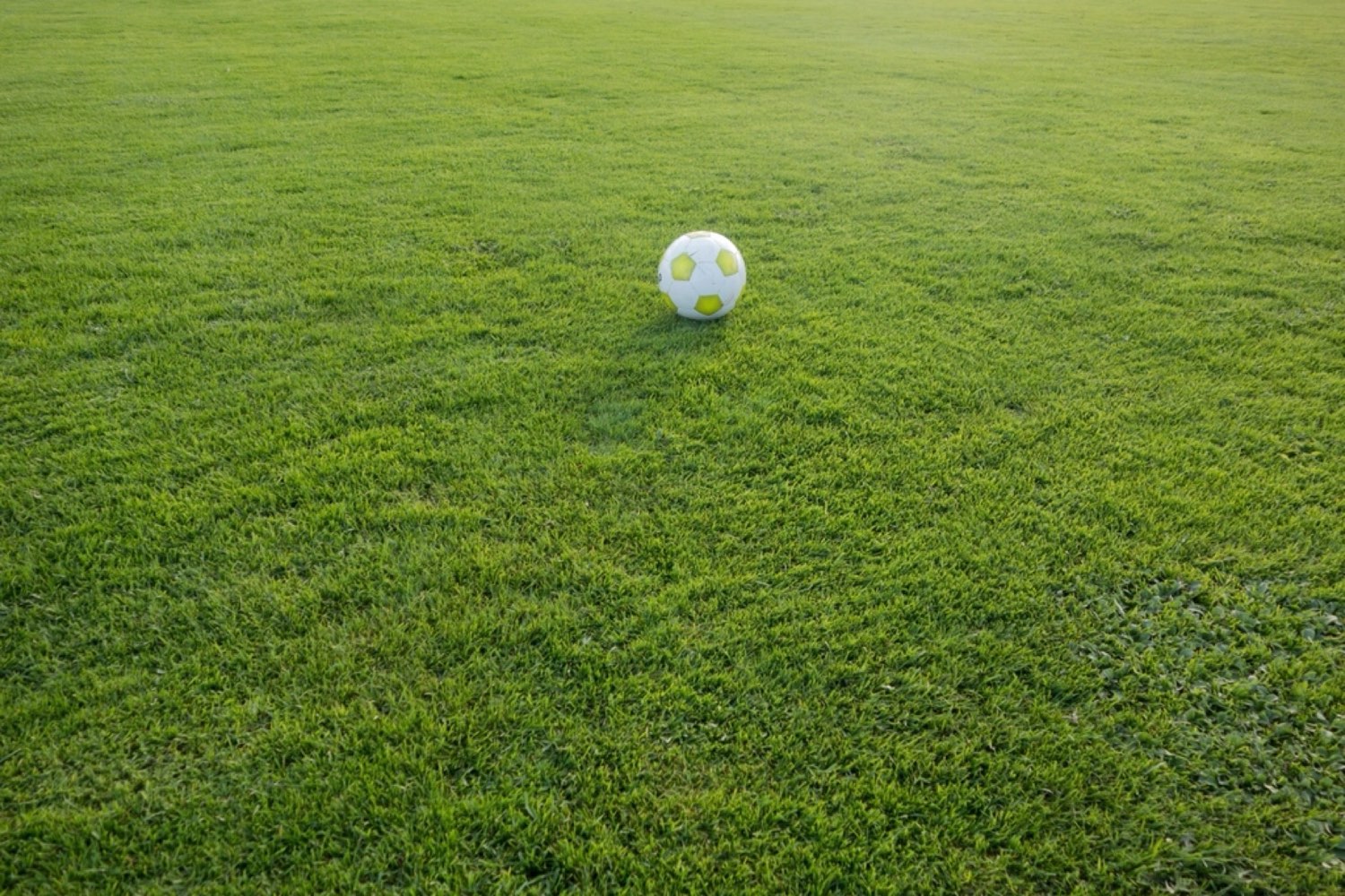 Soccer ball on the grass